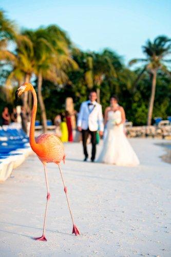 mobile - carousel-hero-element image-14